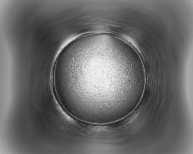 X0000087361387200704271429
