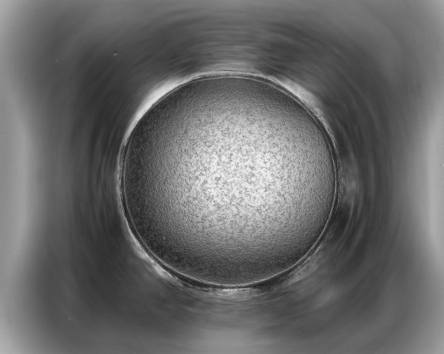 X0000087361390200704271429