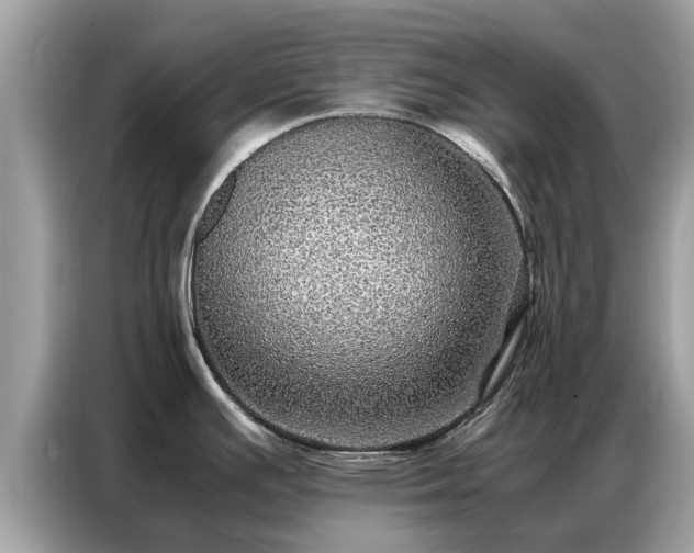 X0000087361391200704271429