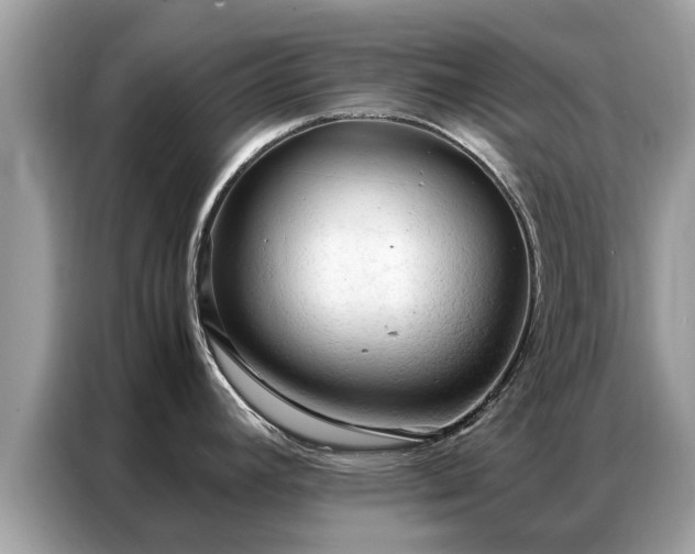 X0000087361392200704271429