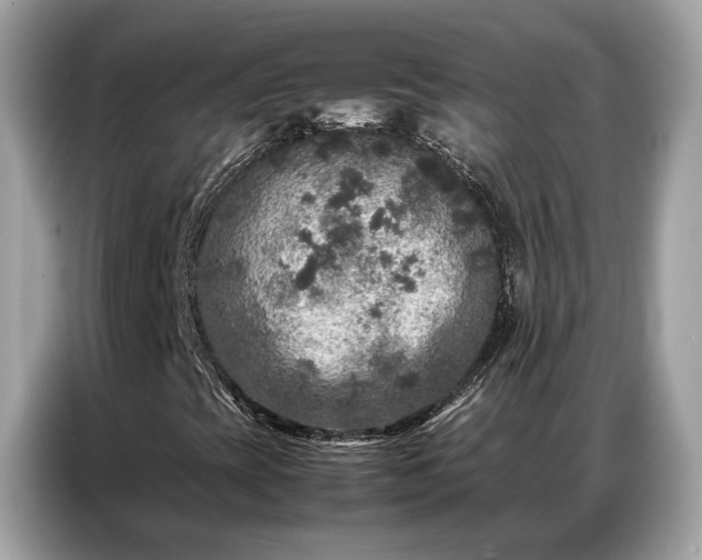 X0000087361393200704271429