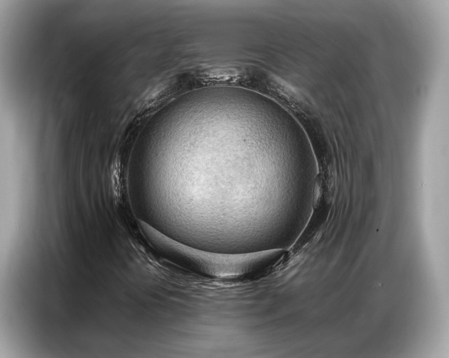 X0000087361394200704271429