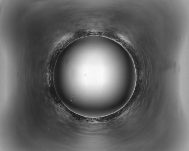 X0000087361398200704271429