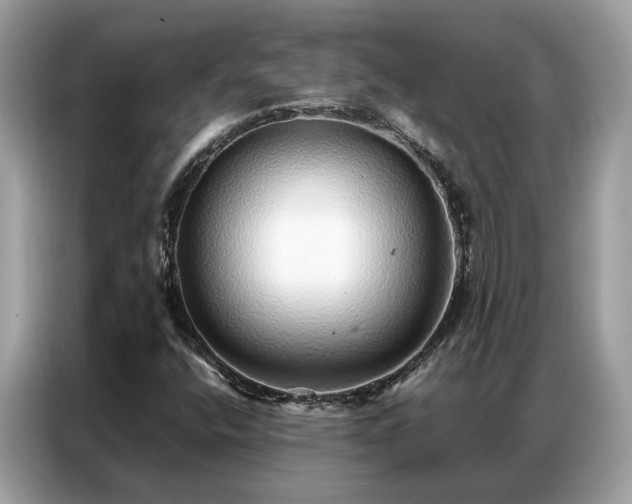 X0000087361400200704271429