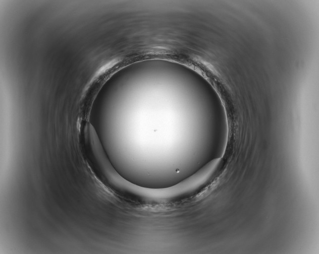X0000087361402200704271429