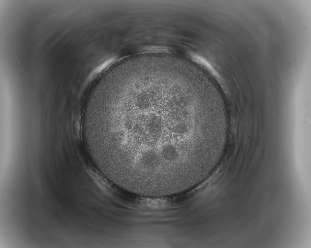 X0000087361403200704271429
