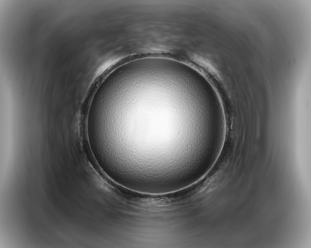X0000087361404200704271429