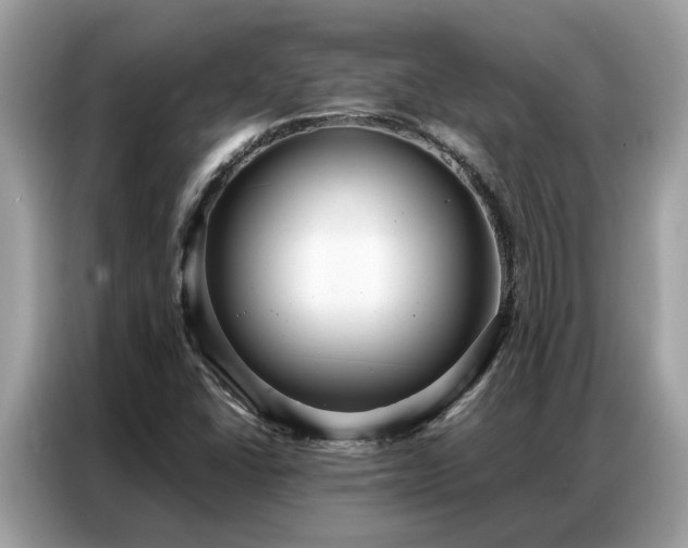 X0000087361406200704271429