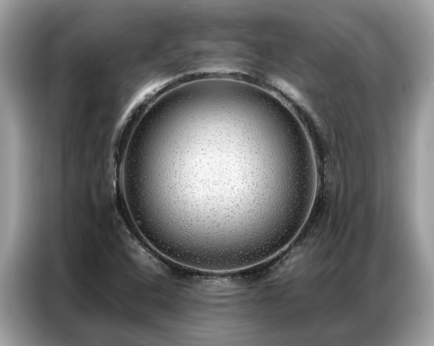X0000087361408200704271429