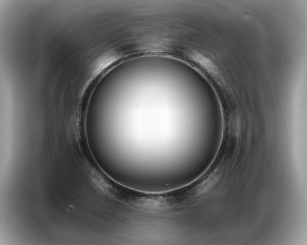 X0000087361410200704271429