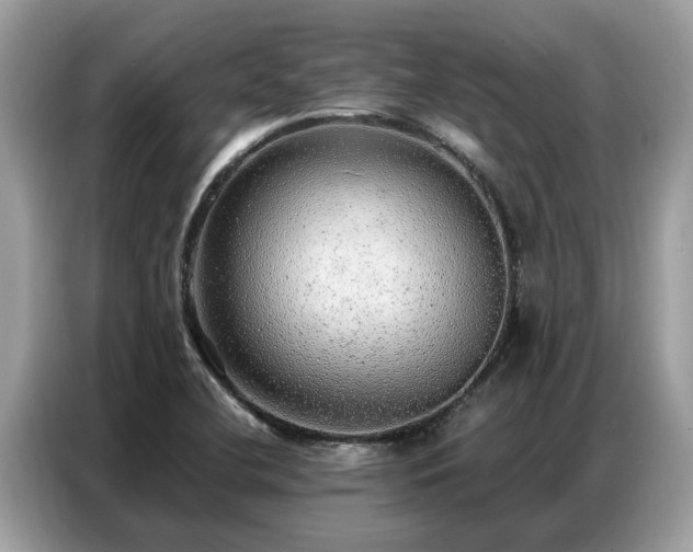 X0000087361412200704271429