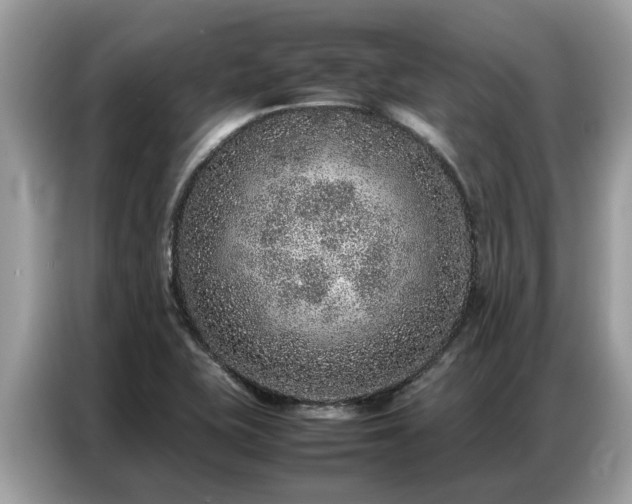X0000087361415200704271429
