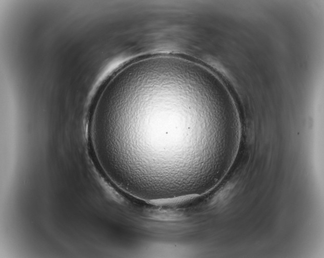 X0000087361416200704271429