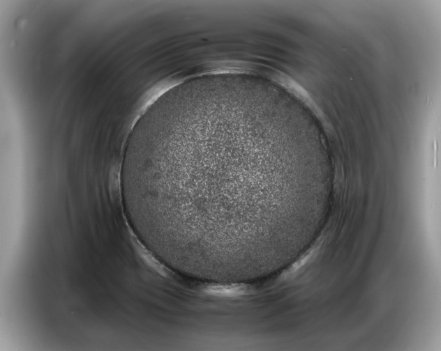 X0000087361417200704271429