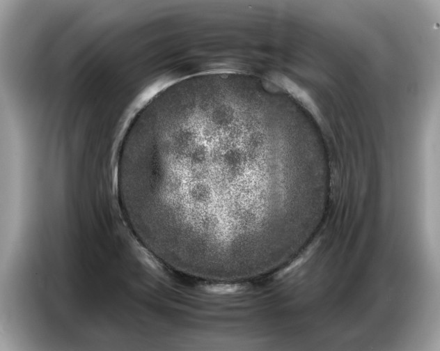 X0000087361419200704271429
