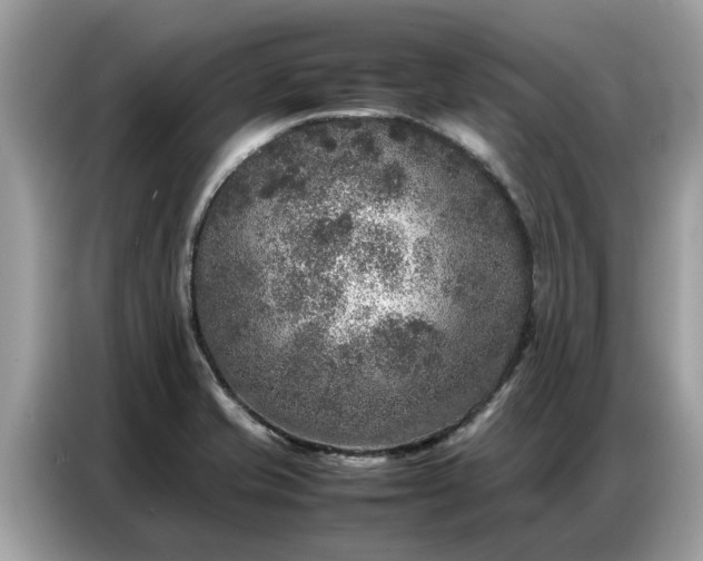 X0000087361421200704271429