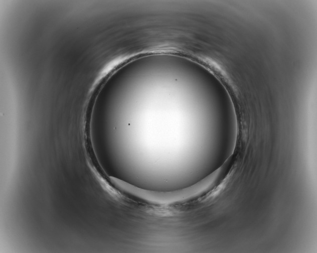 X0000087361422200704271429