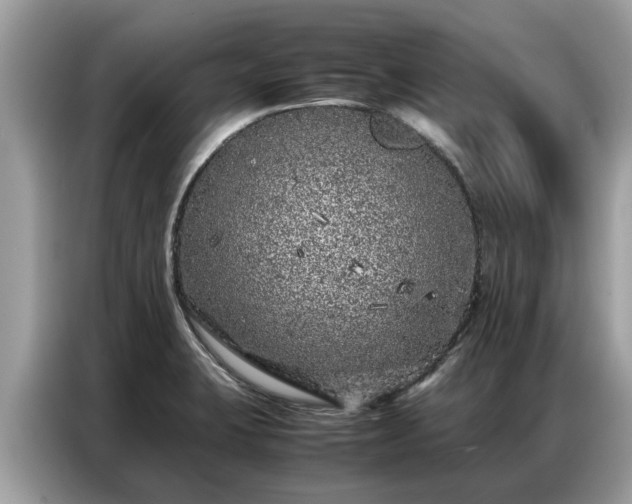 X0000087361423200704271429