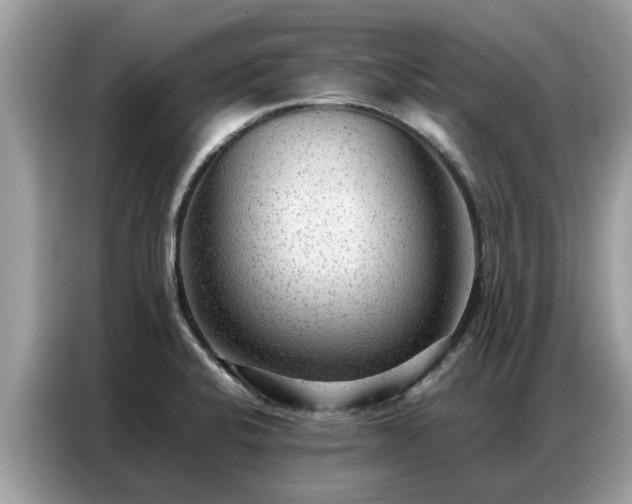 X0000087361424200704271429