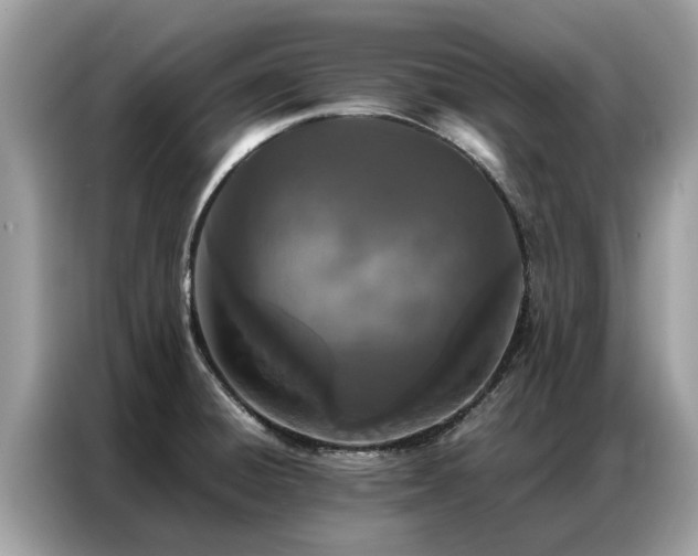 X0000087361428200704271429