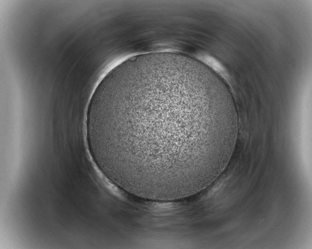 X0000087361431200704271429