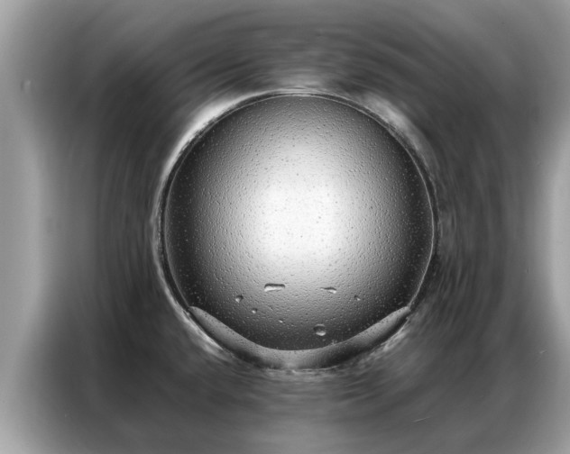 X0000087361432200704271429