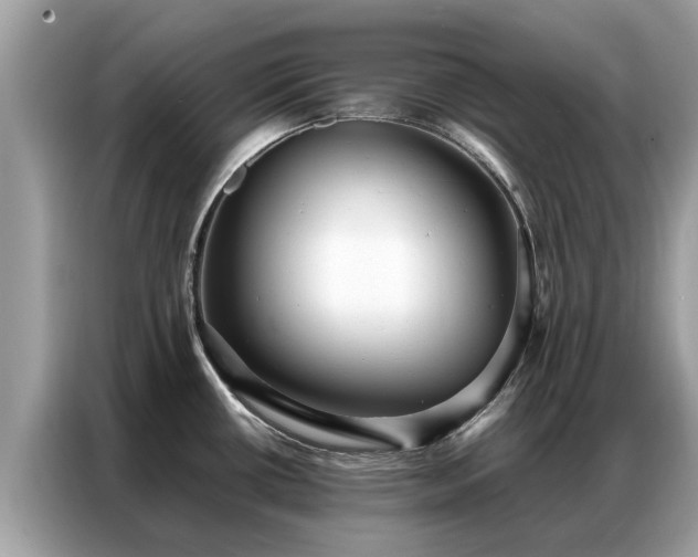 X0000087361434200704271429