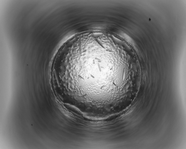 X0000087361435200704271429