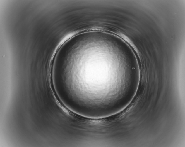 X0000087361437200704271429