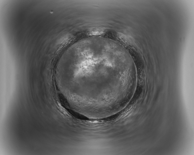 X0000087361441200704271429