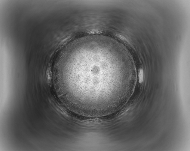 X0000087361444200704271429