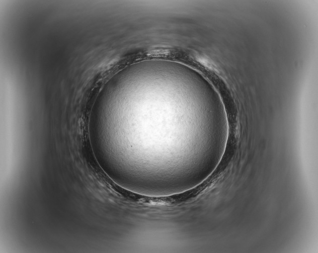 X0000087361445200704271429