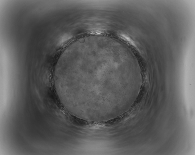 X0000087361446200704271429