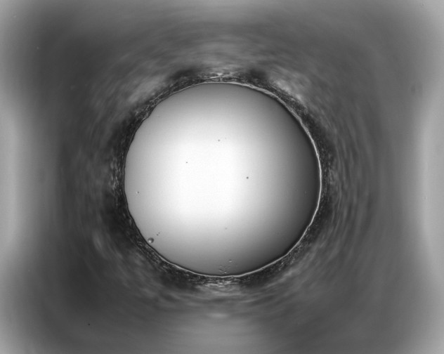 X0000087361447200704271429