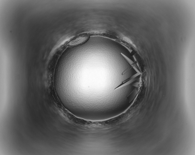 X0000087361448200704271429