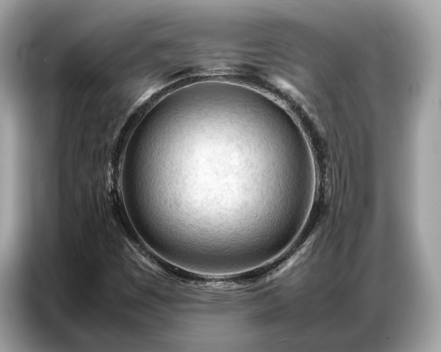 X0000087361449200704271429