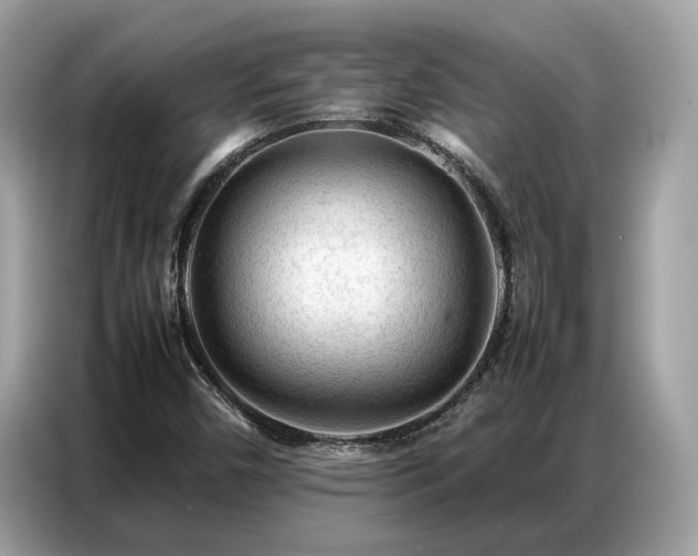 X0000087361450200704271429