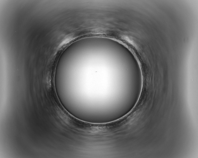 X0000087361451200704271429
