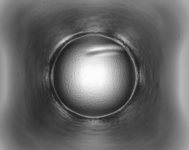 X0000087361452200704271429
