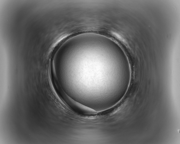 X0000087361453200704271428
