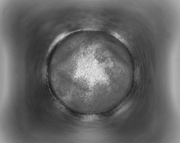 X0000087361454200704271428