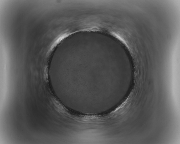 X0000087361455200704271428