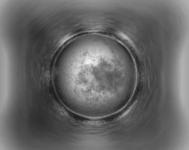 X0000087361457200704271428