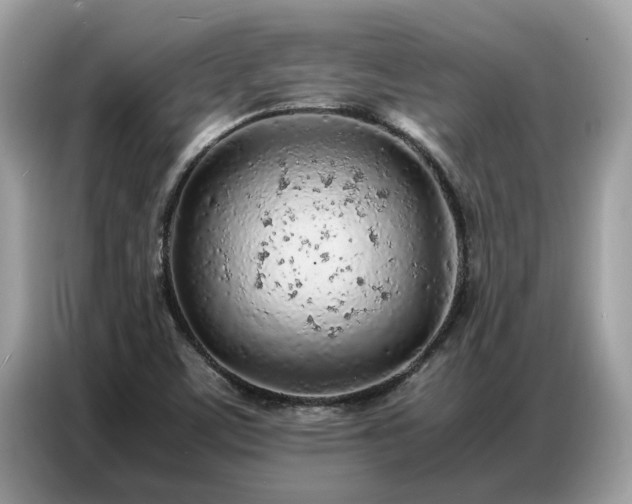 X0000087361459200704271428