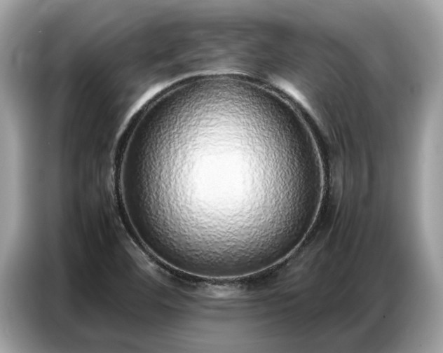 X0000087361460200704271428