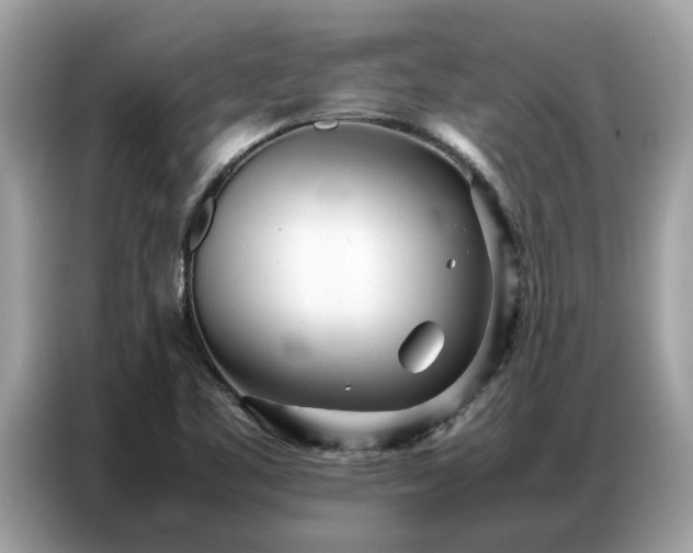 X0000087361461200704271428
