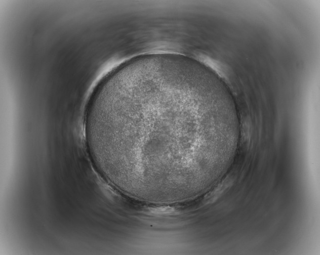 X0000087361462200704271428