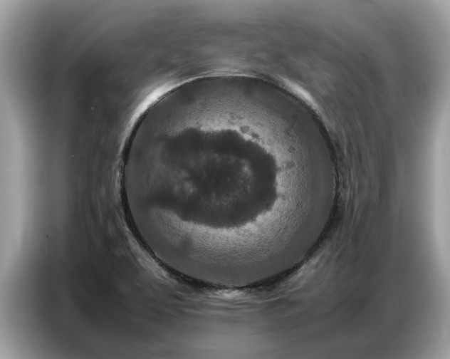 X0000087361463200704271428