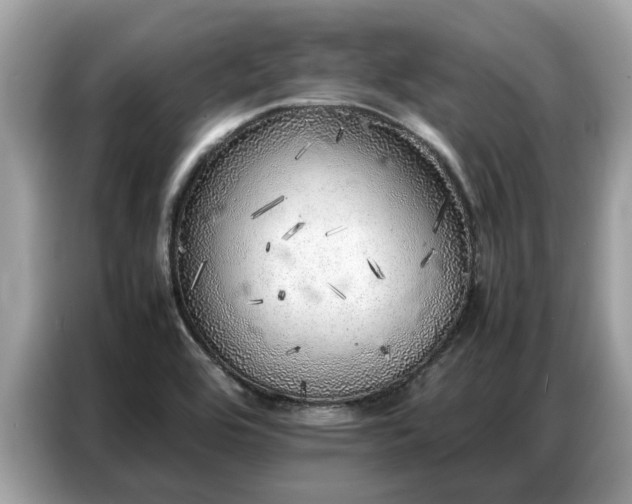 X0000087361464200704271428
