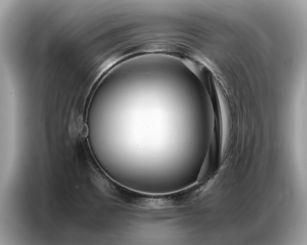 X0000087361465200704271428